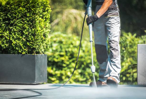 Animal Enclosure Cleaning in Snowmass Village, CO